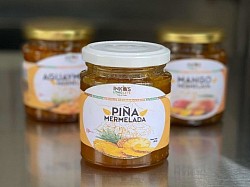 Mermelada de Piña x 250g